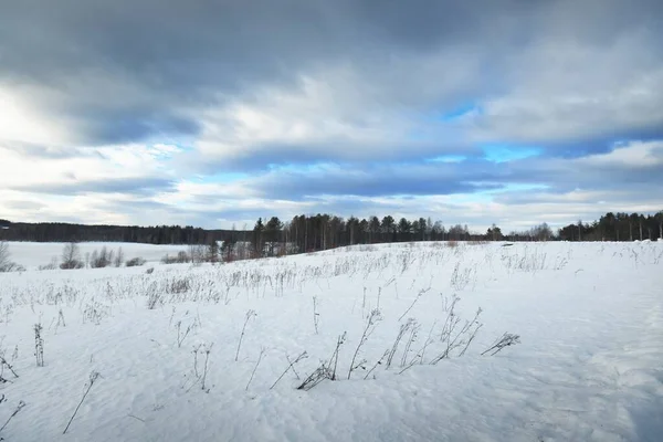 Een Lege Weg Door Het Besneeuwde Veld Een Sneeuwstorm Dramatische — Stockfoto