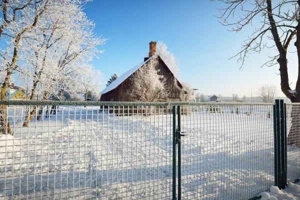 Old Wooden House Log Cabin Mesh Fence Close Tall Trees — Stock Photo, Image