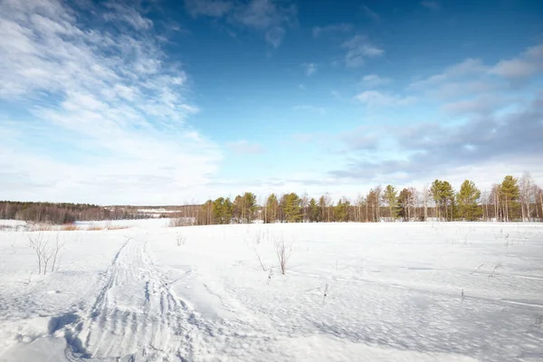 Panoramisch Uitzicht Het Besneeuwde Veld Een Sneeuwstorm Menselijke Sporen Een — Stockfoto