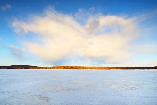 Lac Gelé Forêt Pins Enneigés Coucher Soleil Texture Glacée Ciel — Photo