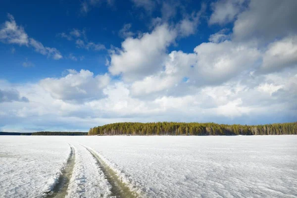 Bevroren Meer Dennenbos Bij Zonsondergang Ijs Textuur Tractorsporen Van Dichtbij — Stockfoto