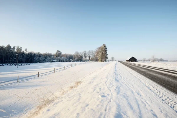 An empty asphalt road after cleaning. An old traditional house (log cabin) close-up. Car tracks in a fresh snow. Snow-covered forest and field in the background. Clear blue sky. Winter driving. Latvia