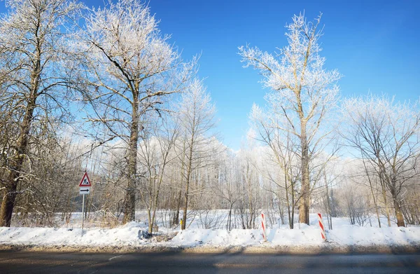 An empty asphalt road after cleaning. Car tracks in a fresh snow. Snow-covered birch forest in the background. Clear blue sky. Winter driving in Finland. Global warming theme