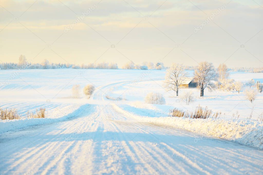 Country road through snow-covered field after a blizzard at sunset. Clear sky, golden light. Idyllic rural scene. Panoramic view. Christmas, logistics, dangerous driving, off-road, transportation