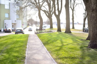 Şehir parkındaki uzun ağaçların arasında boş bir sokak, arabalar ve arka plandaki modern bina. Koronavirüs salgını yüzünden kimse yok, Polonya karantina bölgesi