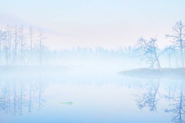 Gün doğumunda sisli, berrak bir göl. Suda simetri yansımaları, doğal ayna, karanlık ağaç siluetleri. Destansı bulut manzarası. Idyllic sonbahar sahnesi. Sanat, fantezi, peri masalı