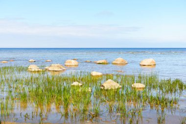 Güneşli bir günde Baltık Denizi 'nin kayalık kıyıları. Taşlar yakın plan. Arka planda yeşil bitkiler. Ruhnu Adası, Estonya. Yaz tatilleri, seyahat, çevre koruma teması