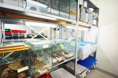 Hayvanat bahçesi laboratuvarındaki böcek yuvası. Teraryum rafları, yakın plan özel ekipmanlar. Araştırma, eğitim, botanik, biyoloji, zooloji, entomoloji, herpetoloji, karsinoloji, çevre koruma teması