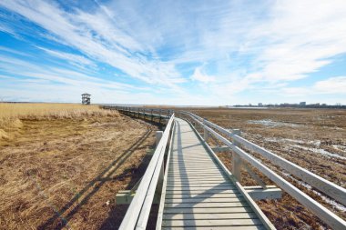 Hollanda 'nın güneşli bir bahar gününde, göldeki kuş izleme kulesine giden ahşap bir patika. Sığ su. Açık mavi gökyüzü ve sirrus bulutları. Çevre koruma teması