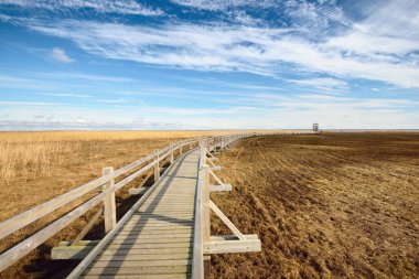 Hollanda 'nın güneşli bir bahar gününde, göldeki kuş izleme kulesine giden ahşap bir patika. Sığ su. Açık mavi gökyüzü ve sirrus bulutları. Çevre koruma teması