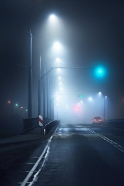 Gece sisli bir gecede köprüden geçen boş bir otoyol. Sokak Işıkları yakın plan. Karanlık şehir manzarası, şehir manzarası. Riga, Letonya. Tehlikeli sürüş, hız, özgürlük, konsept görüntü