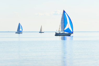 Yelkenli yat yarışı. Modern yelkenliler mavi yelkenli ile yarışıyor. Açık bir yaz günü. Kiel, Almanya. Spor ve eğlence, ulaşım, özel Wessel, tatiller
