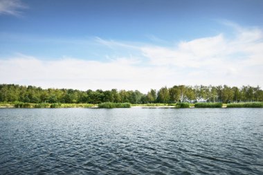 Nehir kıyısı açık mavi gökyüzüne karşı sirrus bulutları, arka planda yeşil orman. Letonya