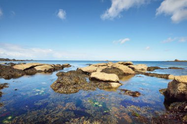 Güneşli bir günde, Lilia Körfezi 'nin sığ, berrak sularında, Le Vierge deniz fenerinin yanında. Plouguerneau, Finistre, Brittany, Fransa. Seyahat yerleri, ulusal dönüm noktası, eğlence teması.