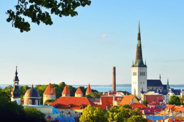 Güneşli bir yaz gününde Tallinn 'in eski kasabasının hava manzarası. St. Olaf Kilisesi 'ne yakın çekim. Panoramik şehir manzarası. Seyahat rehberi, gezi teması. Estonya