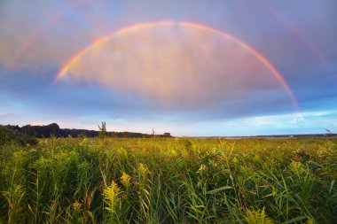 Çifte gökkuşağı ile dramatik günbatımı gökyüzü ve yağmurdan sonra yeşil tarlanın üzerinde renkli parlayan bulutlar. Destansı bulut manzarası. Hava kararsız. - Letonya. Kasırga, fırtına, meteoroloji, ekoloji