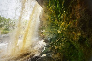 Yeşil bir yaz ormanındaki Jagala Joa Şelalesi manzarası. Cliff, yosunlu taşlar ve su yakından sıçrıyor. Cennet gibi bir manzara. Çevre koruma, eğlence, gezi teması. Estonya