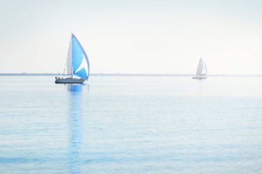 Yelkenli yat yarışı. Modern yelkenliler mavi yelkenli ile yarışıyor. Açık bir yaz günü. Kiel, Almanya. Spor ve eğlence, ulaşım, özel Wessel, tatiller