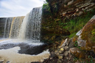 Yeşil bir yaz ormanındaki Jagala Joa Şelalesi manzarası. Cliff, yosunlu taşlar ve su yakından sıçrıyor. Cennet gibi bir manzara. Çevre koruma, eğlence, gezi teması. Estonya