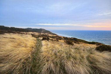 Gün batımında Anholt Adası kıyısı. Renkli bulutlu bir manzara. Kum tepeleri, çalılar ve bitkiler (Ammophila) yakın plan. Çevre koruma, eko turizm teması. Kattegat, Danimarka