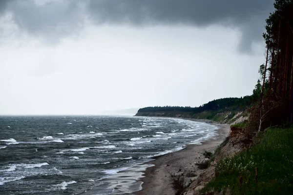 雷雨过后 波罗的海海岸 和松林笼罩在巨大的云彩之下 拉脱维亚 史诗般的海景气旋 恶劣天气 气象学 气候变化 自然现象 — 图库照片