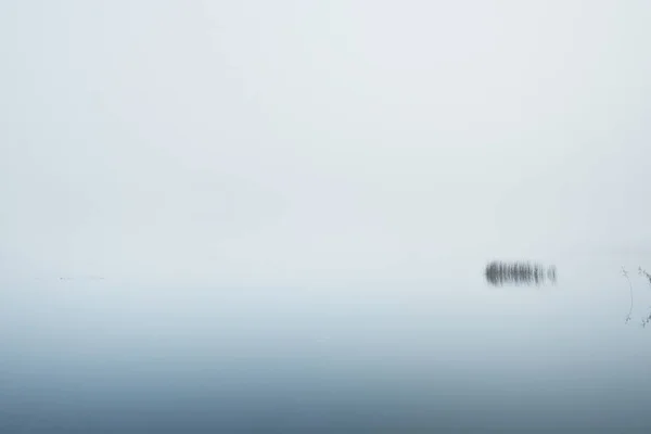 Una Vista Del Lago Del Bosque Una Espesa Niebla Reflejos — Foto de Stock