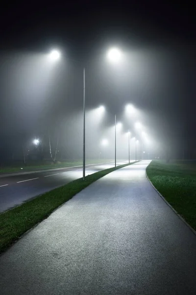 Uma Estrada Bicicleta Iluminada Vazia Através Parque Cidade Nevoeiro Noite — Fotografia de Stock