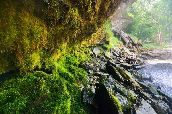 Μια Θέα Του Καταρράκτη Jagala Joa Ένα Καταπράσινο Καλοκαιρινό Δάσος — Φωτογραφία Αρχείου