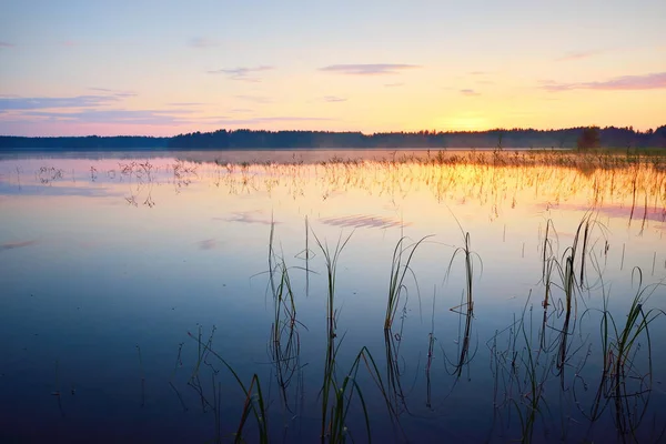 Lago Foresta Nella Nebbia Tramonto Finlandia Riflessioni Simmetriche Sull Acqua — Foto Stock