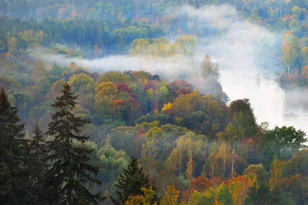 Breathtaking Aerial View Colorful Red Orange Yellow Trees Mixed Coniferous — Stock Photo, Image