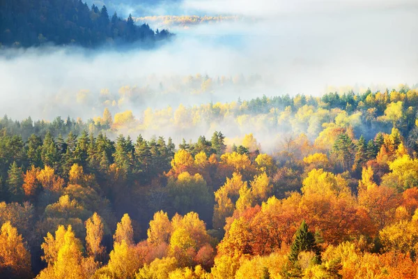 Hisnande Panoramautsikt Över Kullarna Färgglada Röda Orange Och Gula Träd — Stockfoto