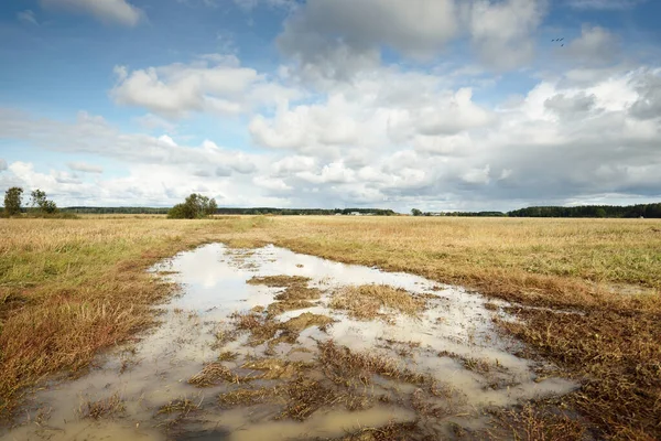 Dramatic Sky Agricultural Field Puddle Close Rural Scene Farm Food — Stock Photo, Image