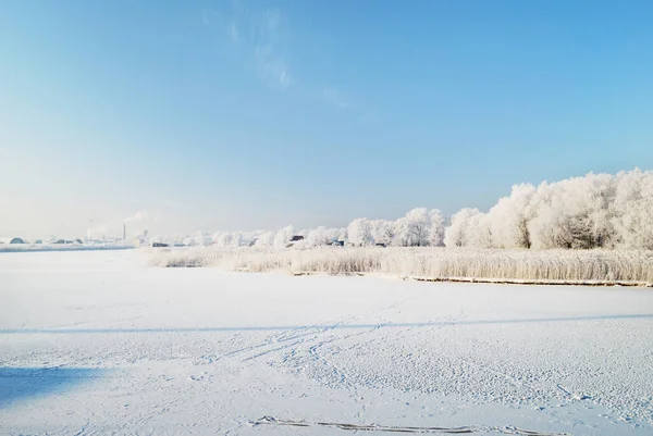 Fryst Flod Och Skog Hjorfrost Klar Vinterdag Fabrik Bakgrunden Riga — Stockfoto