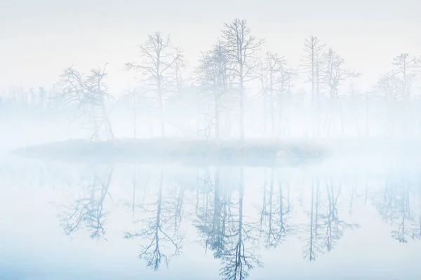 Lago Cristalino Pântano Nevoeiro Nascer Sol Simetria Reflexões Sobre Água — Fotografia de Stock