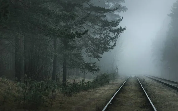 Gruselige Alte Eisenbahn Durch Den Nadelwald Dichten Nebel Dunkle Landschaft — Stockfoto