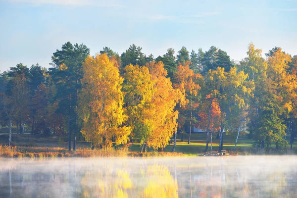 Landhuizen Kleurrijke Bomen Een Rivier Een Ochtendmist Letland Symmetrische Reflecties — Stockfoto
