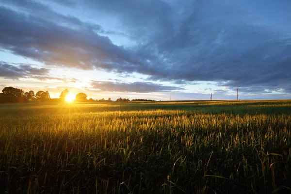 Epic Sunset Sky Green Agricultural Field Postes Del Transformador Fondo — Foto de Stock