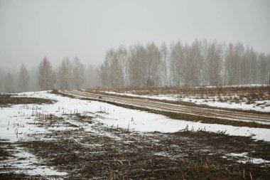 Kasvetli gökyüzünün altında yoğun bir sis altında kırsal tarım alanı. Yerde taze kar var. Almanya. Karanlık ağaç siluetleri. Sanat kavramı, grafik minimalizmi, ekoloji, küresel ısınma