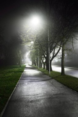 Gece sisli bir havada şehir parkında boş bir bisiklet yolu. Fenerler yakın plan. Eğlence ve sağlıklı yaşam tarzı teması. Riga, Letonya