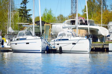 Şehir körfezinde yatlar