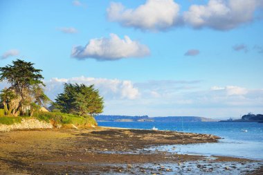 Douarnenez körfezinin kumlu sahilindeki kır evleri ve ağaçlar. Açık mavi gökyüzü. Gök mavisi suyu. Brittany, Fransa. Seyahat yerleri, geziler, tatil teması