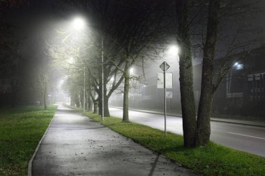 Gece sisli bir havada karayolu yakınında boş bir bisiklet yolu. Fenerler yakın plan. Ulaşım, tehlikeli sürüş, eğlence ve sağlıklı yaşam tarzı teması. Riga, Letonya