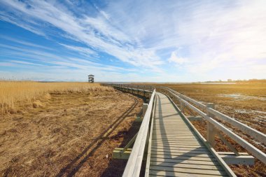 Hollanda 'nın güneşli bir bahar gününde, göldeki kuş izleme kulesine giden ahşap bir patika. Sığ su. Açık mavi gökyüzü ve sirrus bulutları. Çevre koruma teması