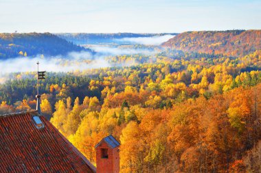 Renkli ormanın ve Turaida şatosunun sabah sisi altında nefes kesici panoramik manzarası. Peri sonbahar manzarası. Gauja Ulusal Parkı, Sigulda, Letonya