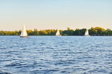 Gün batımında Riga körfezinde yelkenli dolu bir yat. Baltık Denizi, Letonya. Amatör yarış, spor, eğlence, boş zaman aktivitesi, takım çalışması kavramları