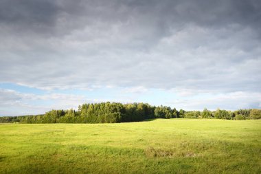 Dramatik bulutların altında yeşil alan. Arka planda orman var. Idyllic kırsal kesim. Valmiera, Letonya. Doğa, mevsimler, ekoloji, çevre koruma
