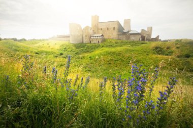 Estonya 'da yeşil tepelerdeki Rakvere kalesinin panoramik manzarası çiçek açmış. Destansı bulut manzarası. Seyahat yerleri, gezi yerleri, savaş, tarih, geleneksel mimari