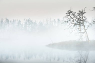 Gün doğumunda sisli, berrak bir göl. Suda simetri yansımaları, doğal ayna, karanlık ağaç siluetleri. Destansı bulut manzarası. Idyllic sonbahar sahnesi. Sanat, fantezi, peri masalı