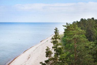 Güneşli bir günde kumlu Baltık kıyıları ve yeşil karışık kozalaklı ormanın havadan görünüşü. Ruhnu Adası, Estonya. Seyahat yerleri, çevre koruma teması