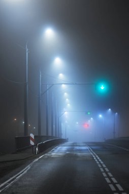 Gece sisli bir ortamda bomboş bir otoyol. Sokak lambaları ve yol işaretleri yakın. Karanlık şehir manzarası, şehir manzarası. Riga, Letonya. Tehlikeli sürüş, hız, özgürlük, konsept görüntü